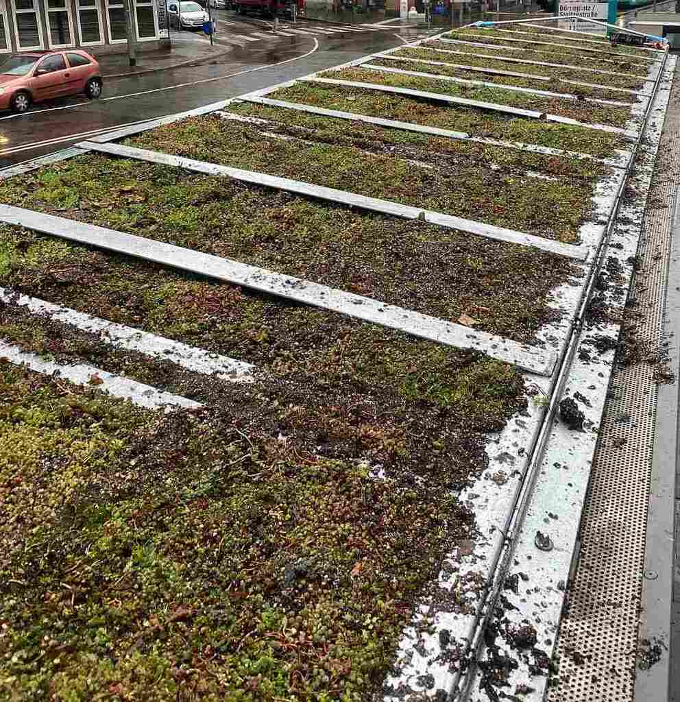 Dachbegrünung Quelle VGF.JPG